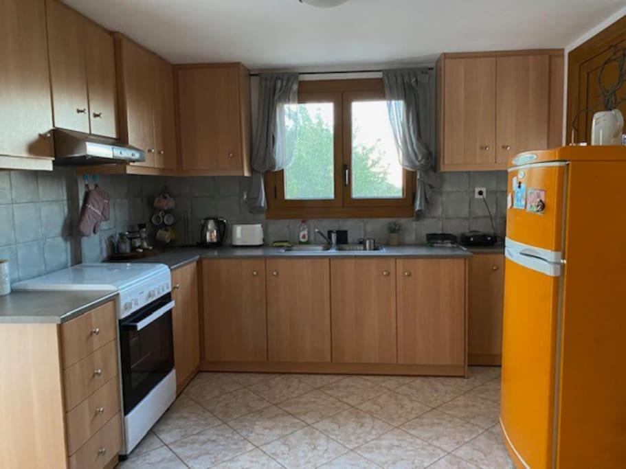 Mike's Place Raches (Ikaria)